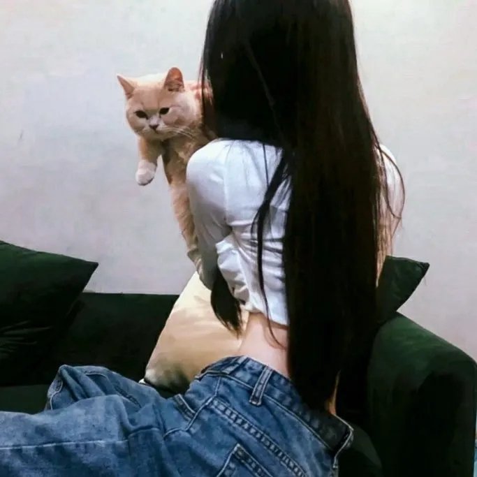 救命呐！唐吉诃德